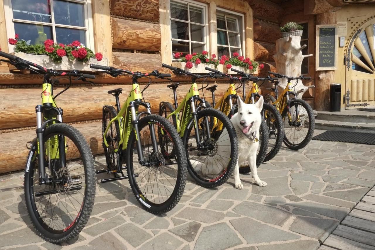 Penzion Damisport ドノヴァリ エクステリア 写真